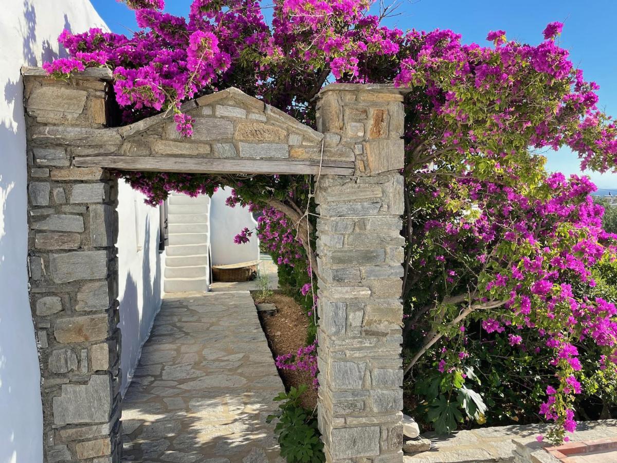 Villa Zeus - Parikia - Paros - Grece Krotiri Dış mekan fotoğraf